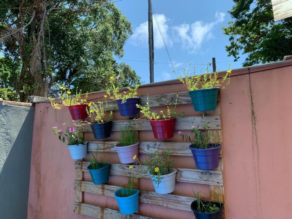 Casa Bem Te Vi Casa de Férias *